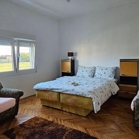 Appartement Apartman Gajic à Nikšić Extérieur photo