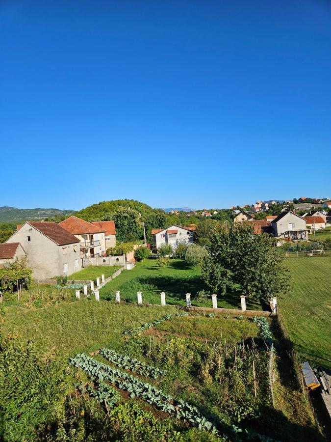 Appartement Apartman Gajic à Nikšić Extérieur photo