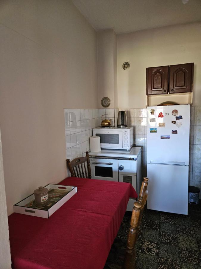 Appartement Apartman Gajic à Nikšić Extérieur photo