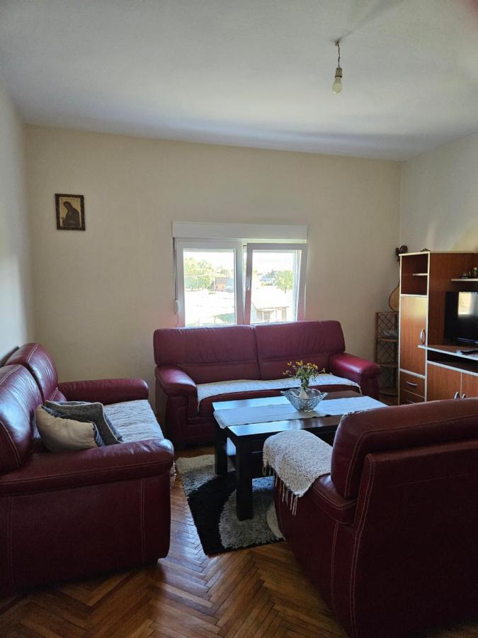 Appartement Apartman Gajic à Nikšić Extérieur photo