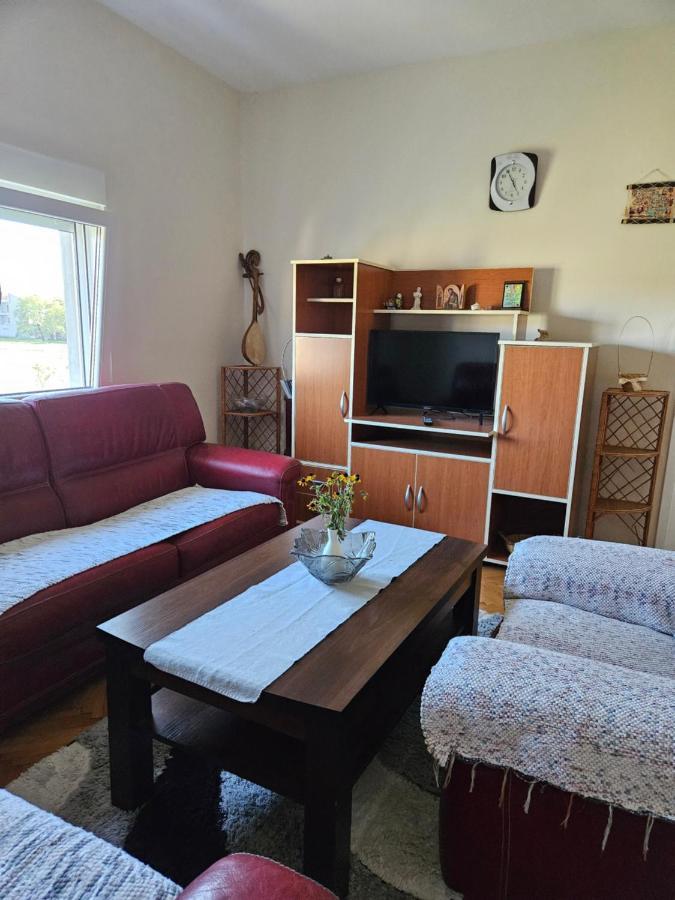 Appartement Apartman Gajic à Nikšić Extérieur photo