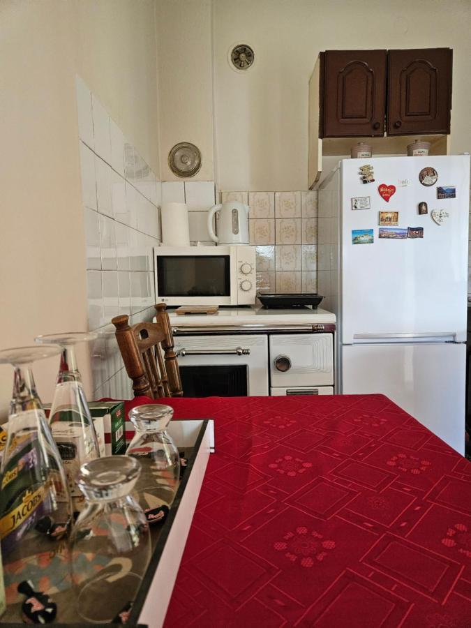 Appartement Apartman Gajic à Nikšić Extérieur photo