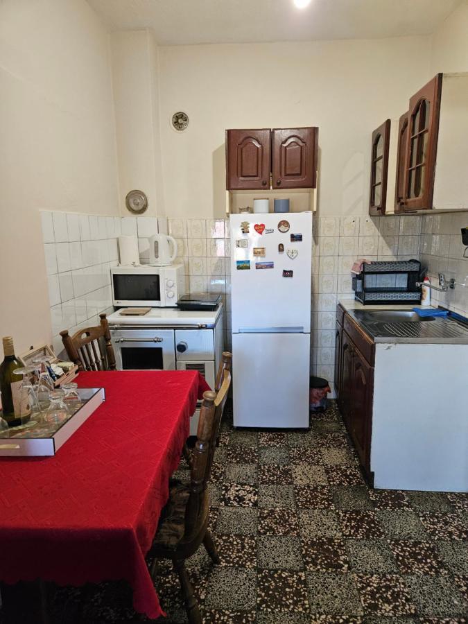 Appartement Apartman Gajic à Nikšić Extérieur photo