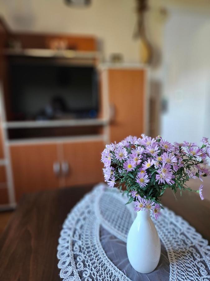 Appartement Apartman Gajic à Nikšić Extérieur photo